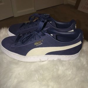 Blue pumas